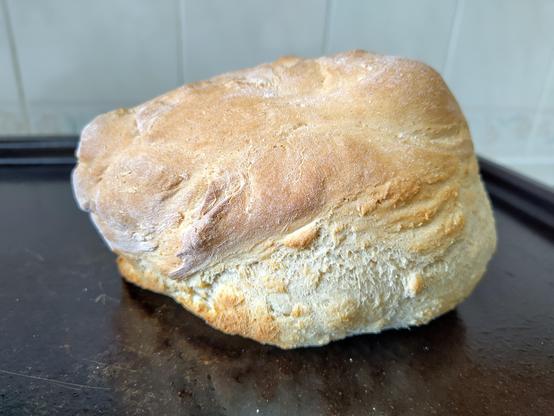 Photo of a freshly baked loaf of bread. The dough has risen. Imagine nice smells wafting around your underground lair, bunker, or hollowed out volcano base.